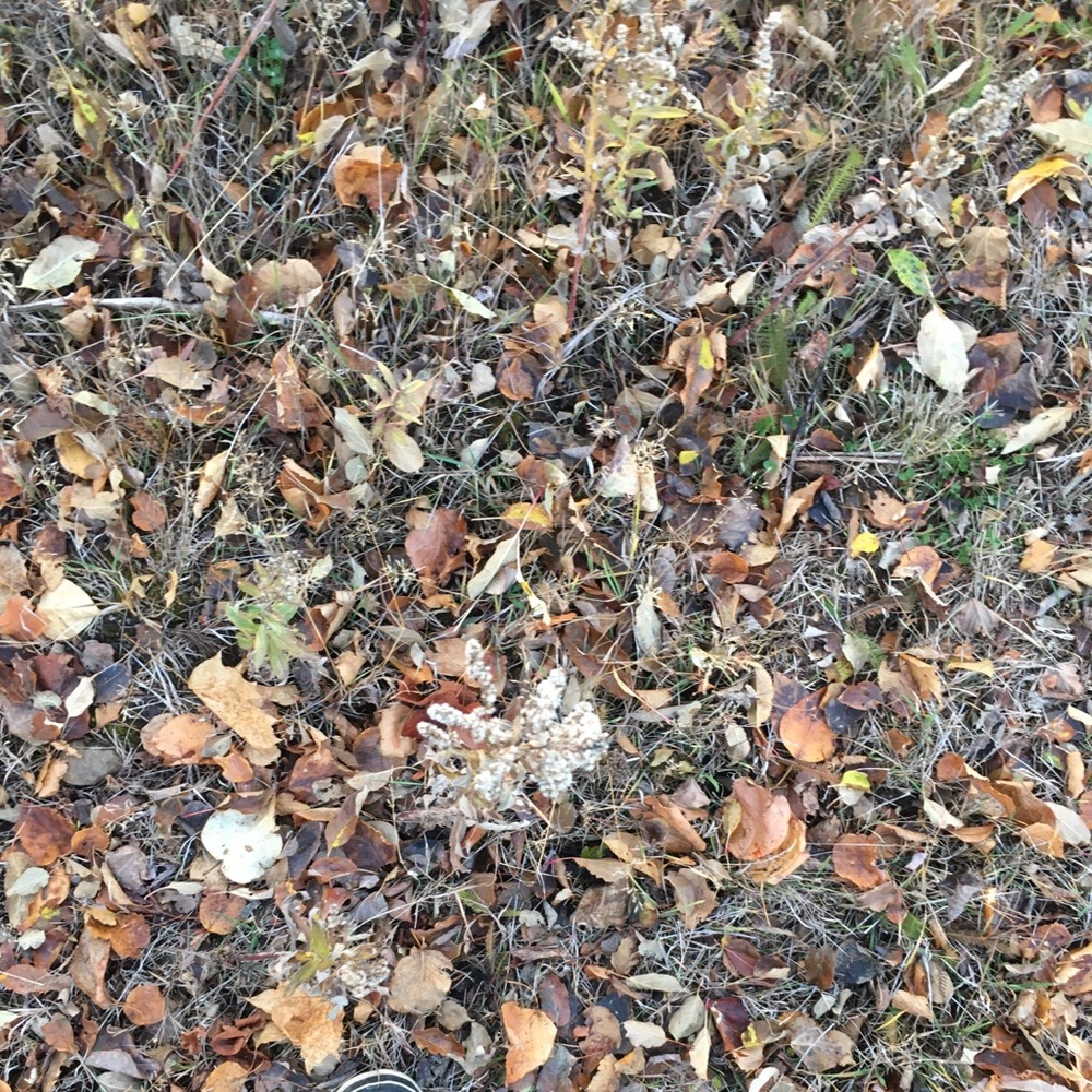 Meet your Posher, Marianna